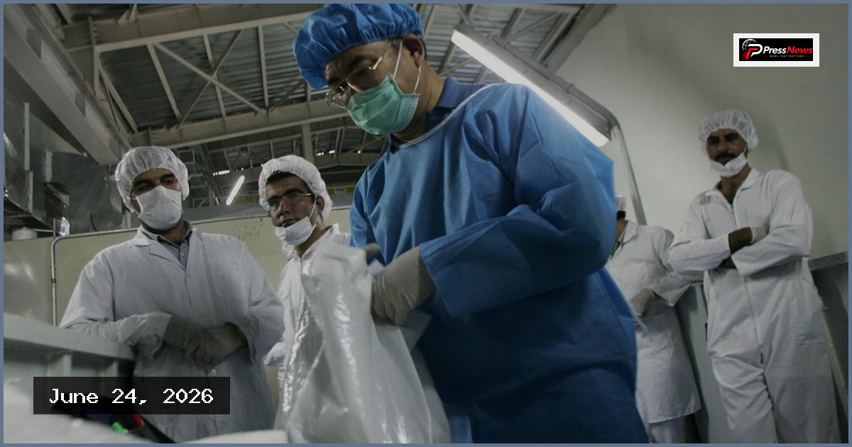IAEA chief says exact timing of Iran nuclear inspections non-essential