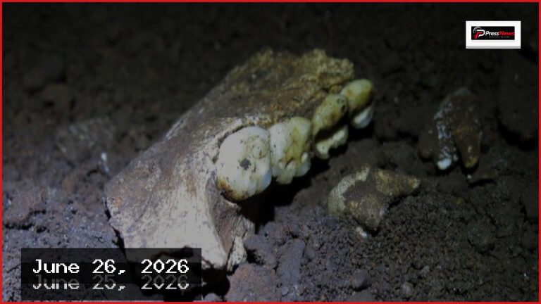Ancient Homo naledi Fossils Found in South African Cave Are Female