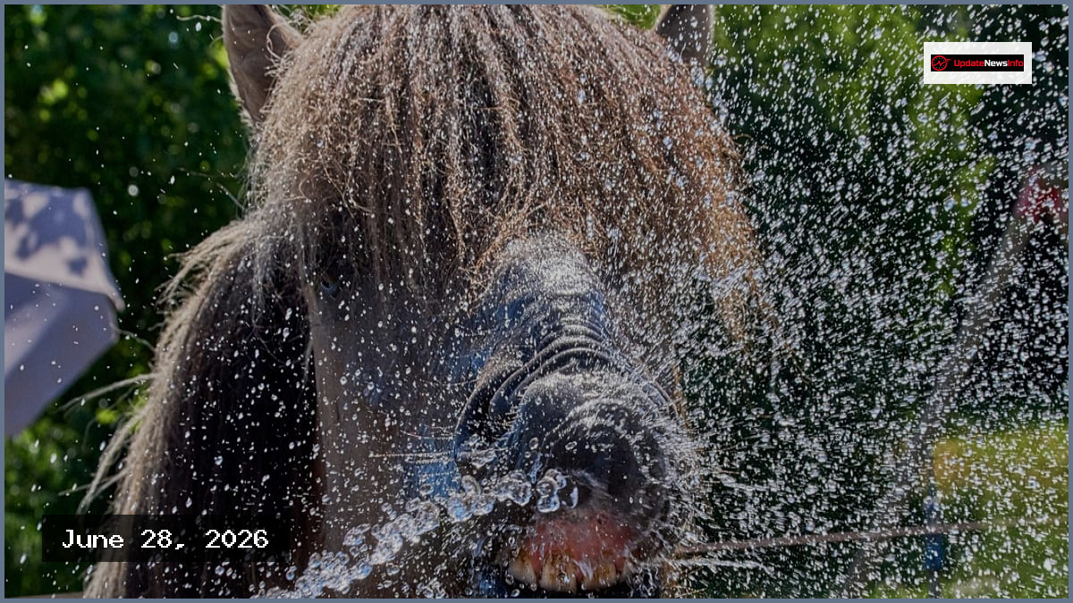Germany Breaks National Heat Record Yet Again
