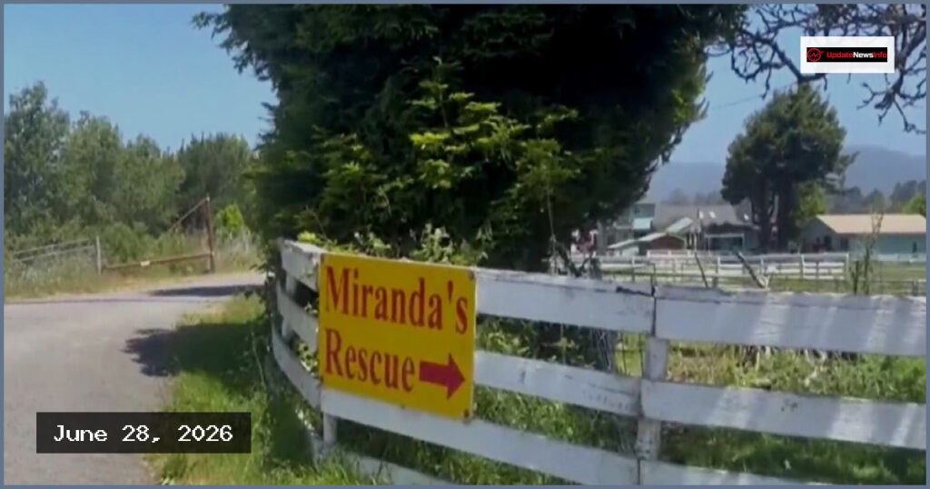 Over 100 Dog Remains Discovered in Northern California Rescue Graves
