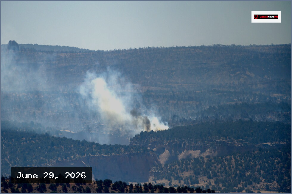 Three Firefighters Die Battling Wildfires on Colorado-Utah Border