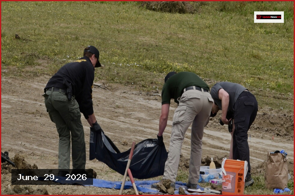 Over 100 Dead Dogs Discovered at California Animal Sanctuary