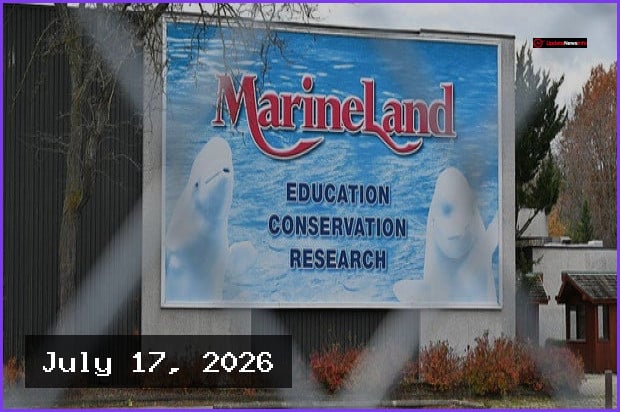 Dozens of Beluga Whales to Be Rescued by US Aquariums