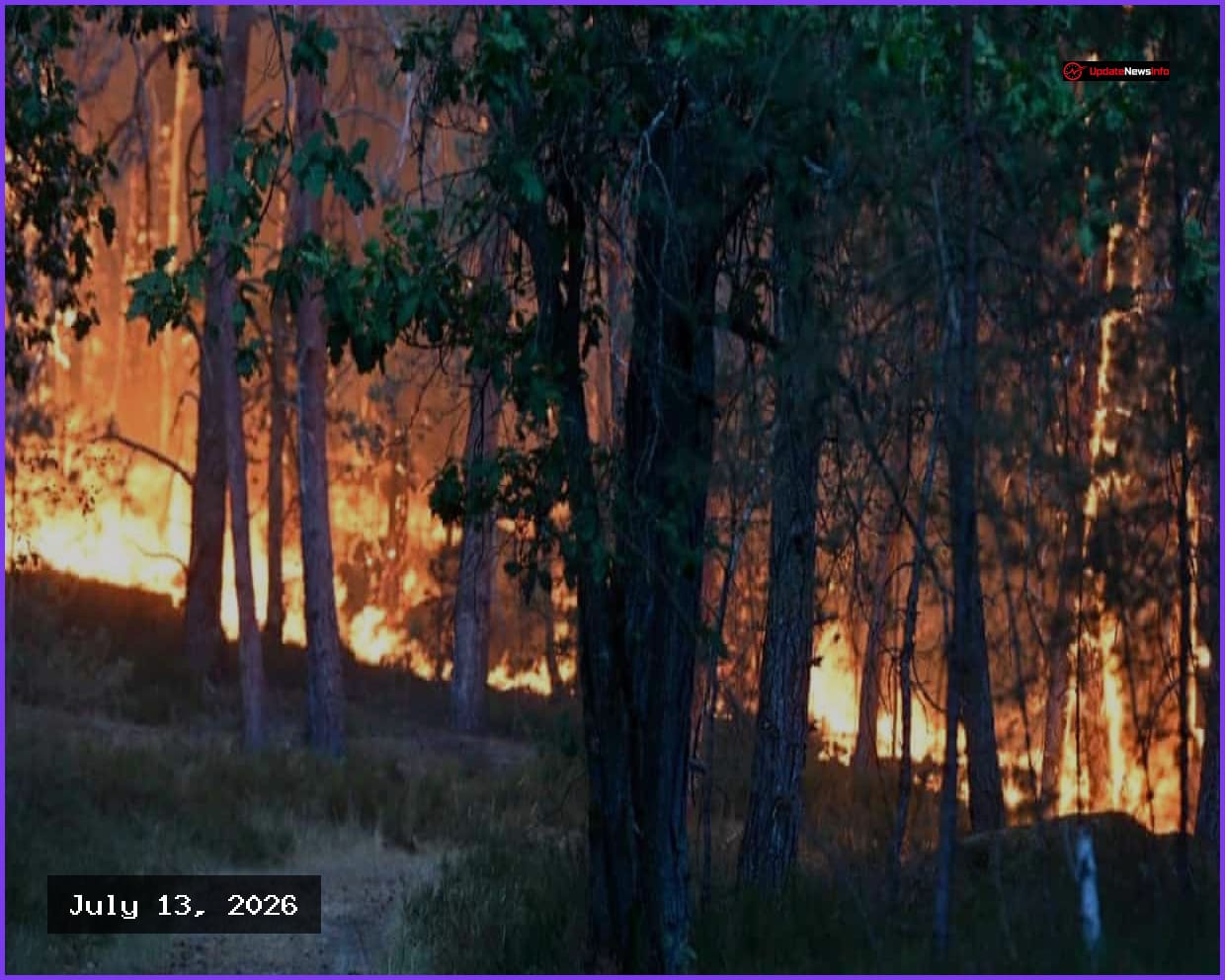 Firefighting Planes Deployed to Battle Massive Wildfire Near Paris