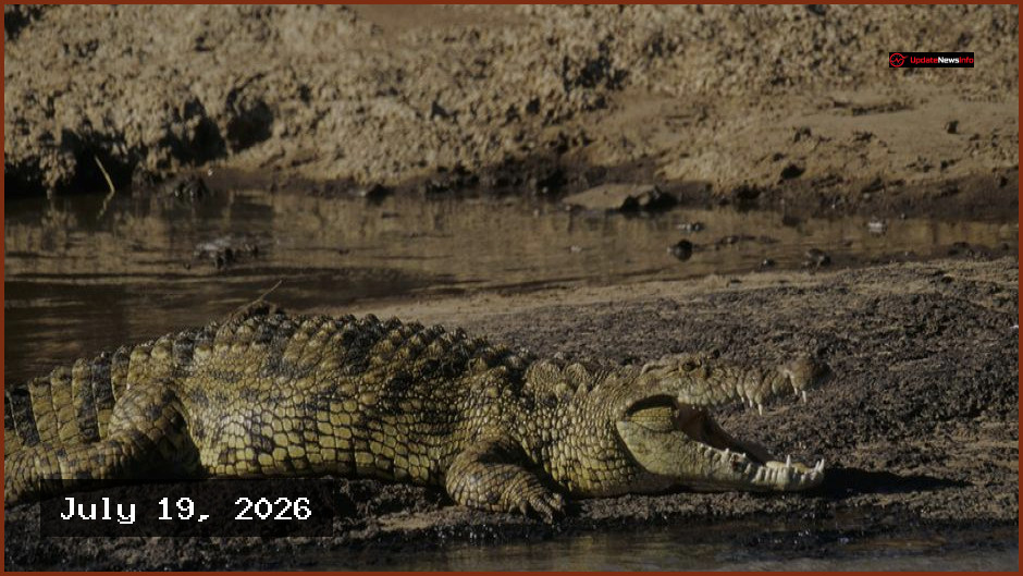 Israel Reclassifies Crocodiles to Support Prison Security Measures