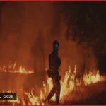 Spain Evacuates 70,000 as Wildfires Threaten Madrid Region