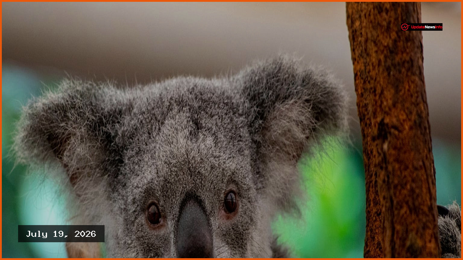 The New Big Five: Wildlife Animals Travellers Want Most