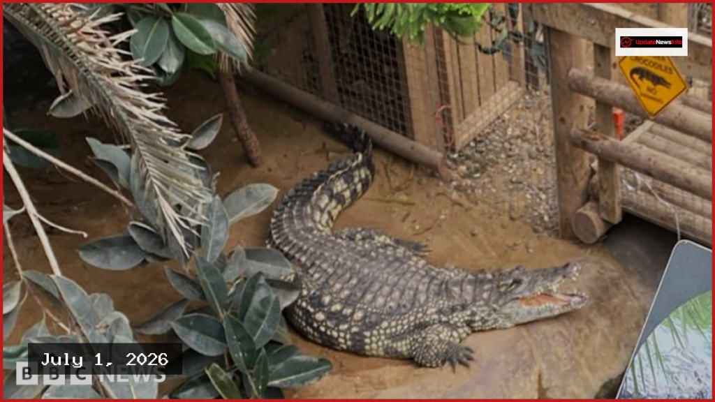 Toddler’s Family Expresses Gratitude to Zoo Staff After Crocodile Attack