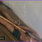 Rights Groups Say Viral Photo Confirms Israeli Torture Reports