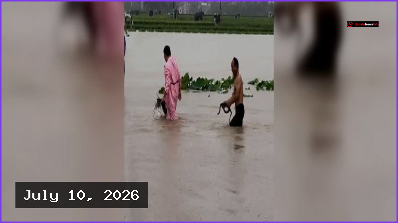 Deadly Floods in China’s Hengzhou Bring Snake Invasion